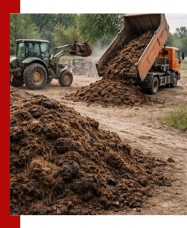 Доставка навоза самосвалами в Полевском для сельхозпотребностей